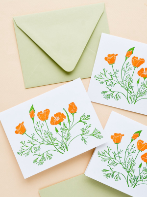 Orange Poppies Blank Card Set