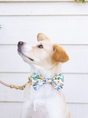 Gathered Dog Bow Tie