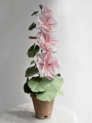 The Green Vase Potted Pink Hollyhock