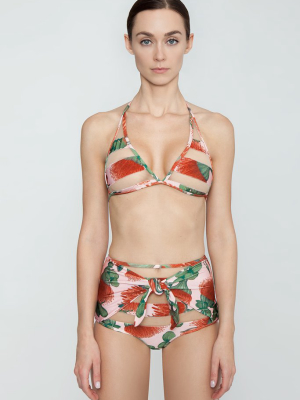 Long Triangle Bikini Top - Fiore Rose Stripe Print