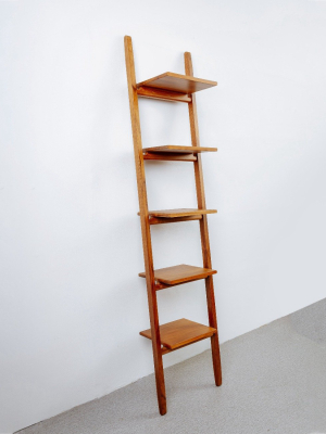 Timofey Teak Leaning Ladder Shelves