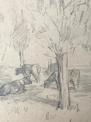 Evert Rabbers Cow Drawing 32