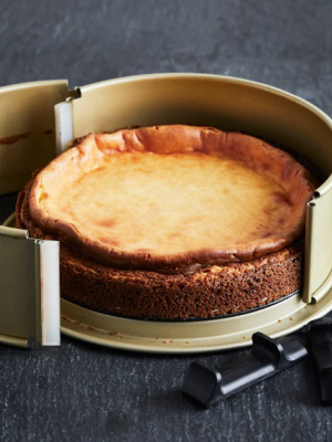 Williams Sonoma Goldtouch® Pro Nonstick Leakproof Springform Cake Pan
