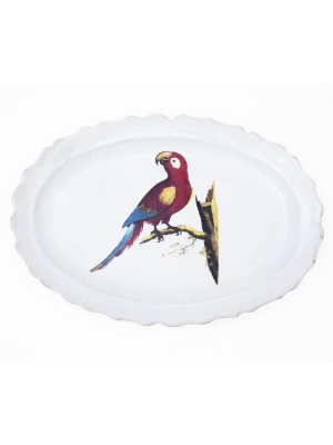 Parrot Max Platter