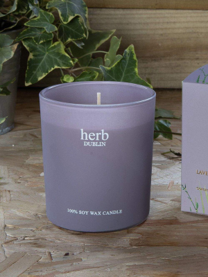 Herb Dublin Lavender Boxed Candle