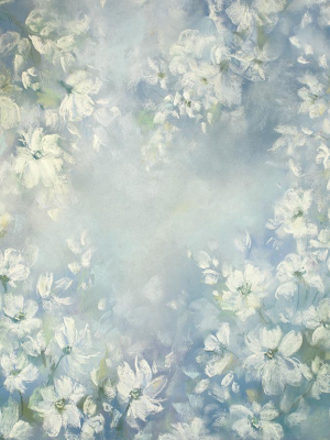 Forget Me Not