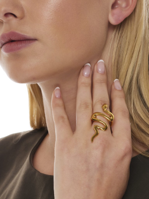 Polished Gold Serpentine Snake Ring