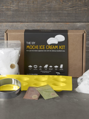 Diy Mochi Ice Cream Kit