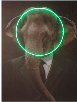 Sonder Living Elephant Portrait Print