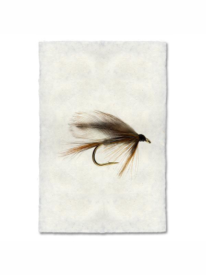 Fly Fishing Print - Adams