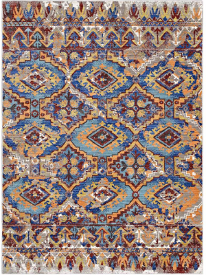 Canton Area Rug Multicolored