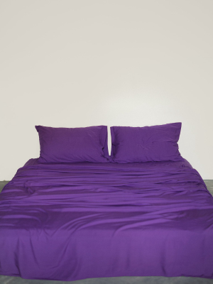 Violet Flat Sheet