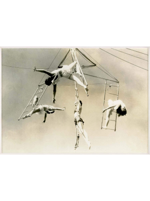 Natural Curiosities Trapeze 1-unframed