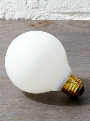 Frosted 40w Light Bulb