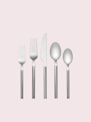 Flatware Silver Polish 5-piece Set