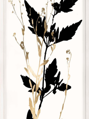 Black And White Herbarium 3 Framed Artwork