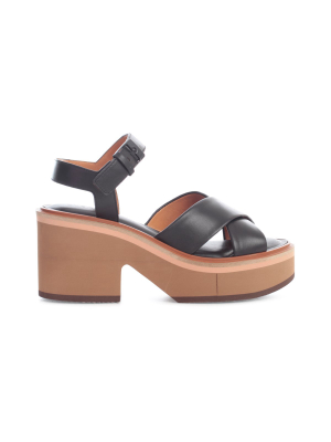 Clergerie Ankle Strap Chunky Sandals