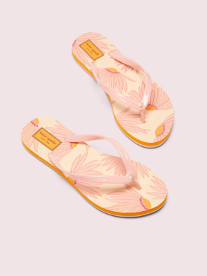 Fiji Flip Flop