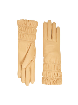 Mid Length Glove