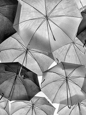 Umbrellas