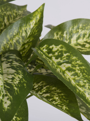 Vickerman 11" Artificial Green Dieffenbachia Bush.