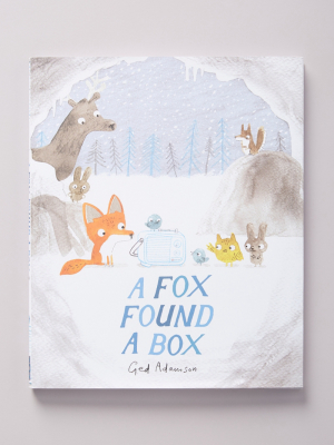 A Fox Found A Box