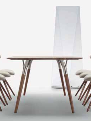 Concept Chair By Tonon