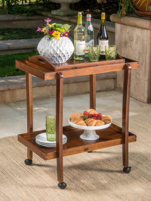 Preslie Wooden Bar Cart With Removable Top Tray Dark Oak - Christopher Knight Home