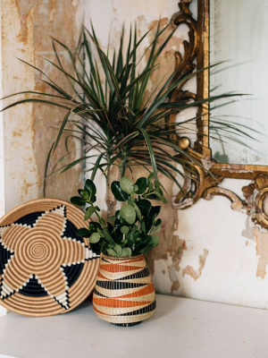 Boutique Vertex Woven Bowls