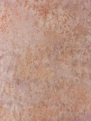 Fresco Wallpaper In Copper From The Enchanted Gardens Collection By Osborne & Little