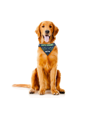 The Seattle Seahawks | Pet Bandana