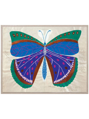 Paule Marrot, Butterly Blue By Natural Curiosities Framed