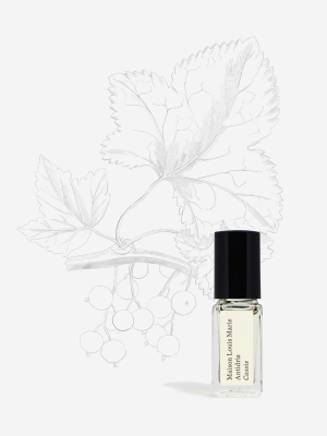 Sample - Perfume Oil - 3ml Roller Bottle Antidris Cassis