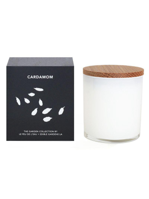 Cardamom Candle