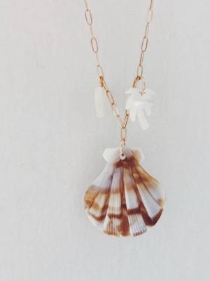 Lt Shell Charm Necklace