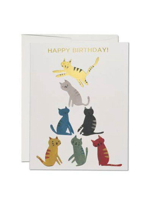 Gold Kitty Birthday Card