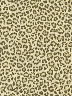 Leopard Print Wallpaper In Beige And Orange Design By Bd Wall