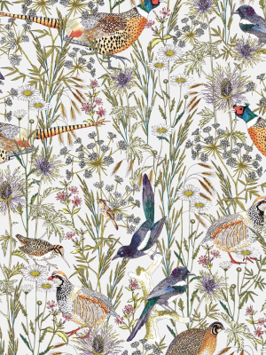 Woodland Birds Wallpaper From The Wallpaper Republic Collection By Milton & King