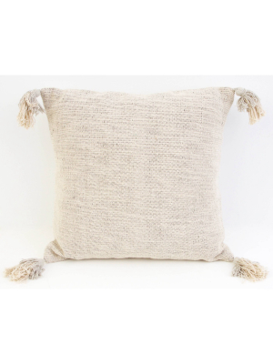 20"x20" Bradford Two Tone Tassel Pillow - Decor Therapy