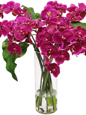 Phalaenopsis In Slim Glass Vase