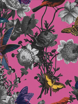 Jardin Wallpaper In Magenta From The Exclusives Collection By Graham & Brown