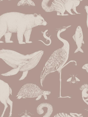 Katie Scott Wallpaper Animal Dusty Rose