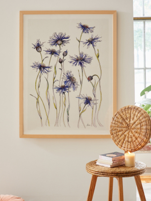 Jessica Hanselmann Blue Cornflowers Art Print