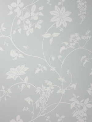 Sample Wisteria Wallpaper In Grey Color By Lorca