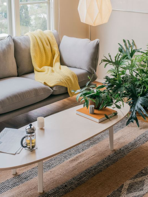 The Floyd Oval Coffee Table