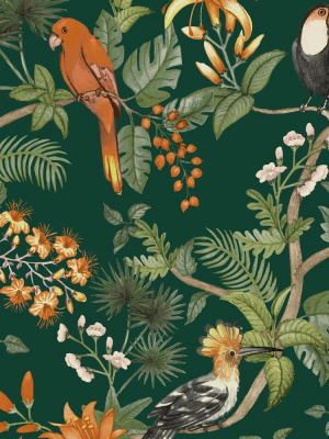 Birds Of Paradise Self-adhesive Wallpaper In Rainforest Green By Tempaper