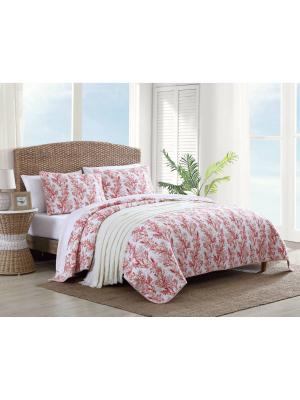 Sunset Reef Quilt & Sham Set Pink - Tommy Bahama