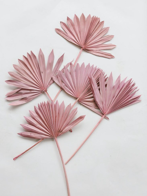 Bundle Of 5 Afloral Desert Pink Sun Palms - 18-24"