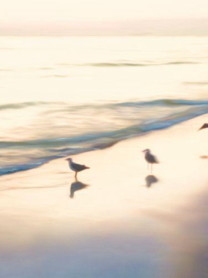 Beach Friends