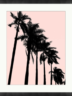 Summer Palms 1